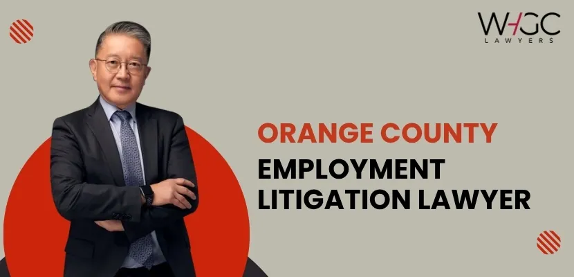 Orange County Employment Litigation Lawyer-image
